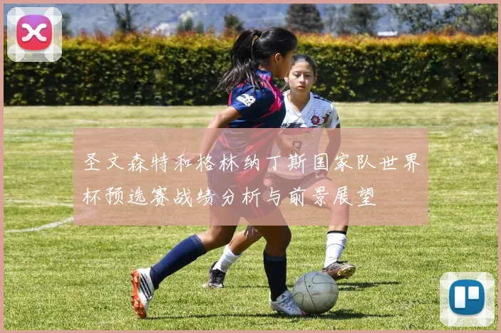 圣文森特和格林纳丁斯国家队世界杯预选赛战绩分析与前景展望